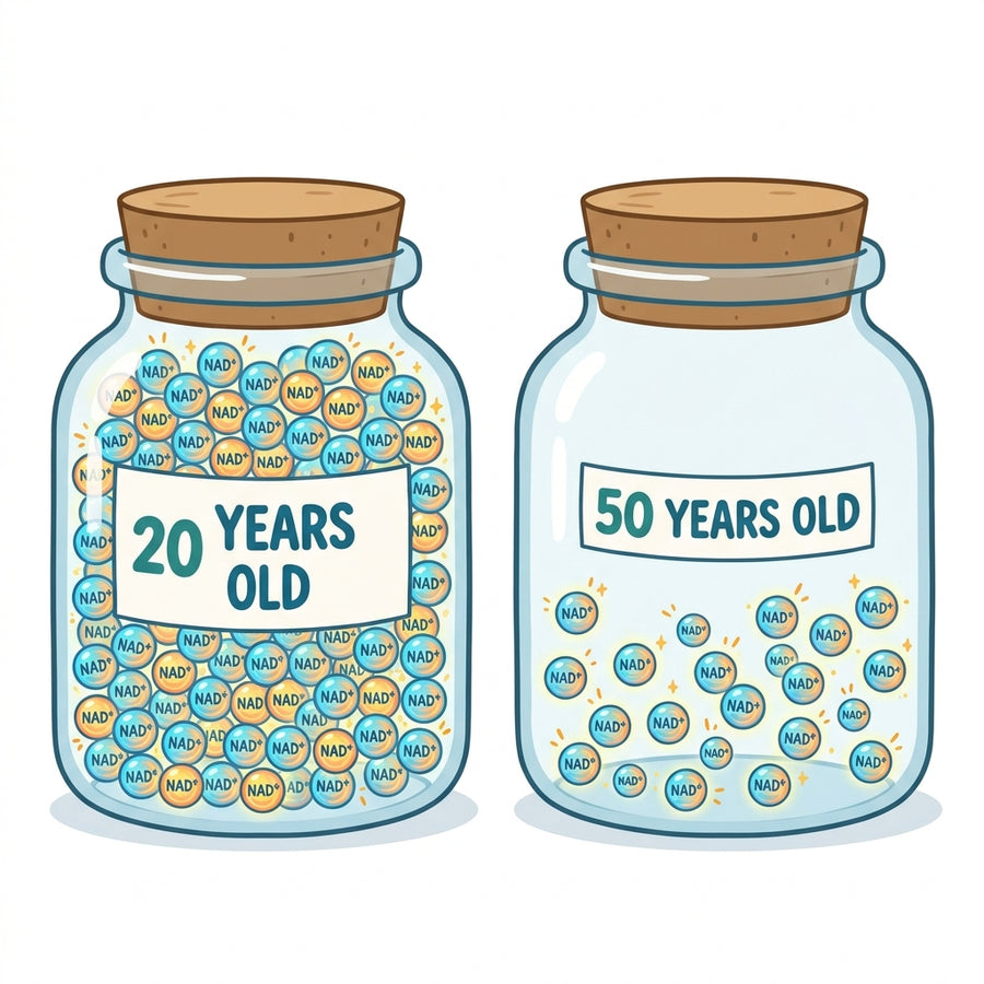 Your energy molecule drops by half at 50