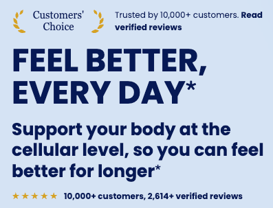 10,000+ customers rated it 4.6 out of 5
